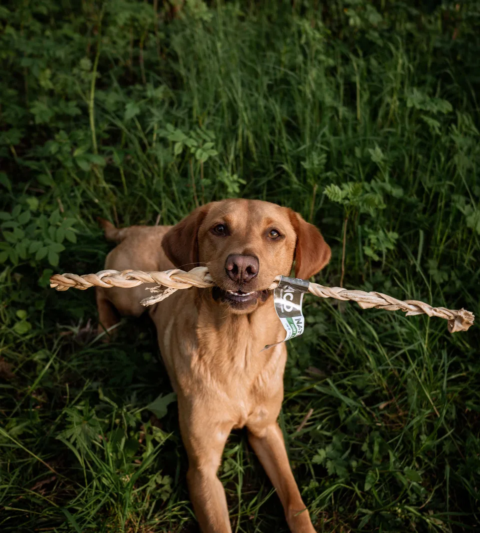 Anco Naturals Giant Lamb Braids Dog Chew