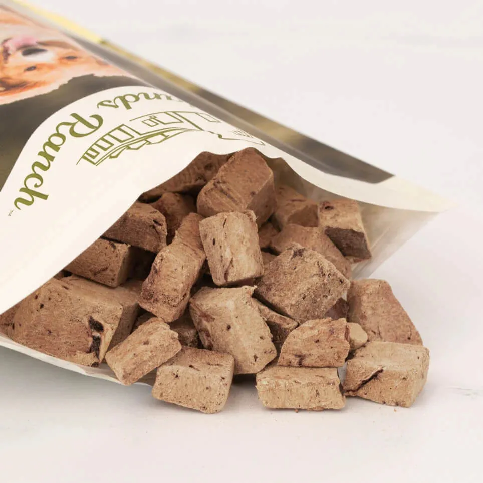 Badlands Ranch Superfood Bites Beef Liver Freeze-Dried Dog Treats