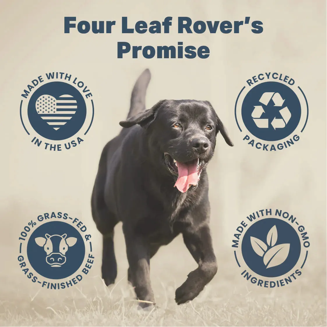 Four Leaf Rover Kibble Fixer for Dogs