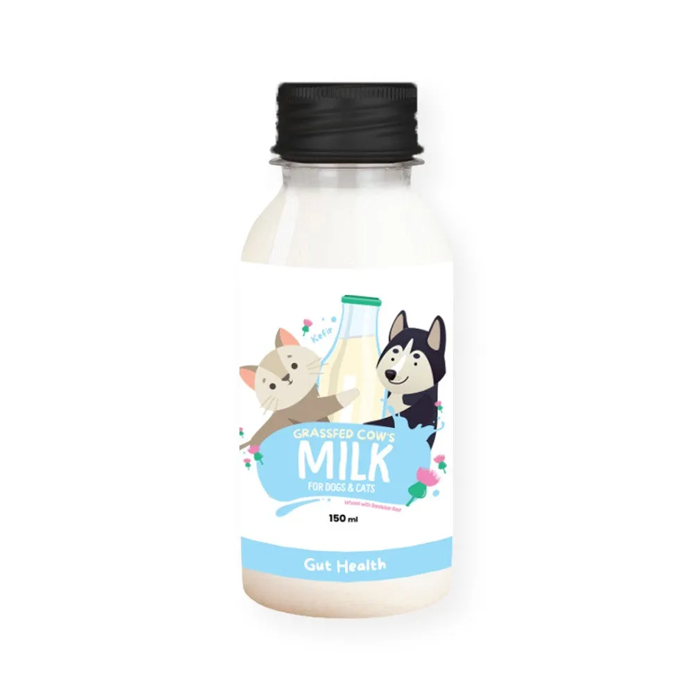 Frozen Kefir Milk for Dogs & Cats