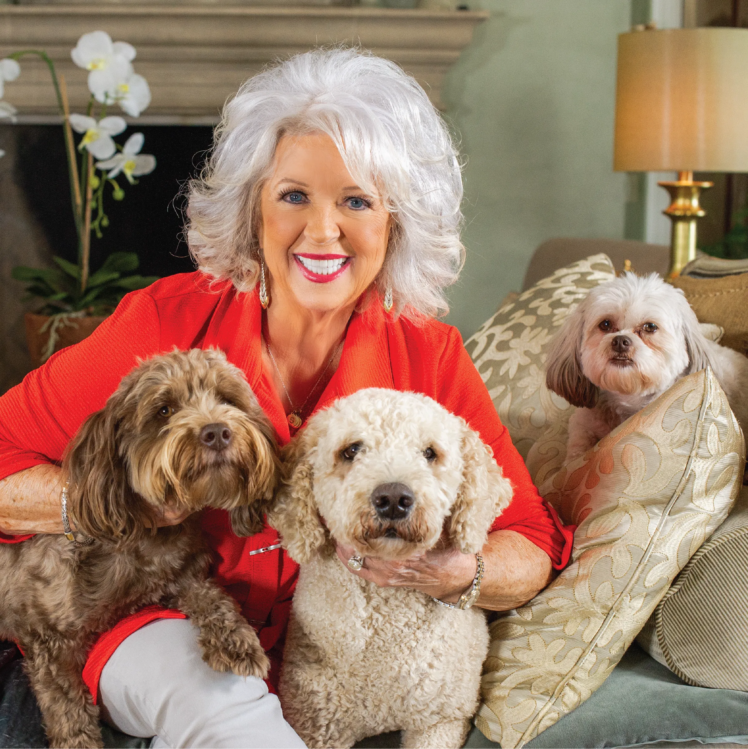 Grain Free Turkey, Pea & Berry Jerky Bites | 12 oz | Paula Deen Home Cookin'