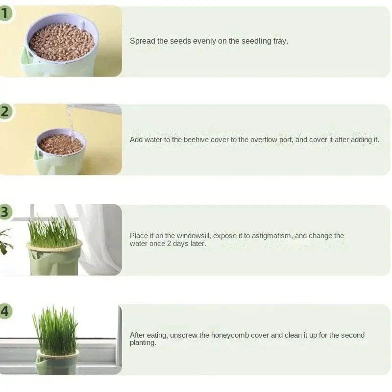 Hydroponic Plant Cat Grass Pot