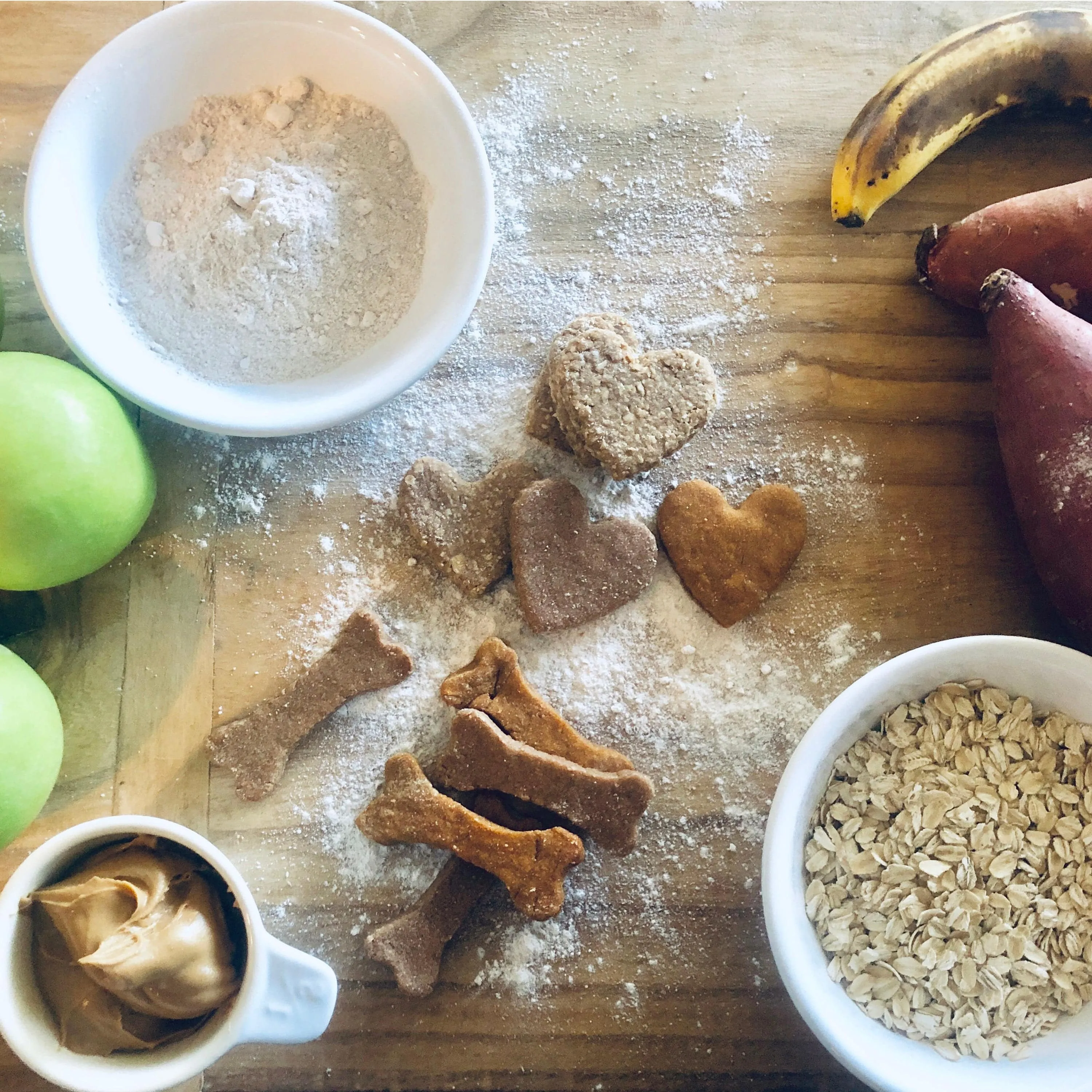 Make Your Own Dog Treat Kit