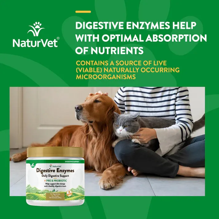 NaturVet Digestive Enzymes plus Pre & Probiotic Powder for Cats and Dogs