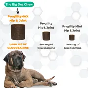 Nootie Progility Max Hip & Joint Soft Chew Supplement for Dogs (60 Soft Chews)