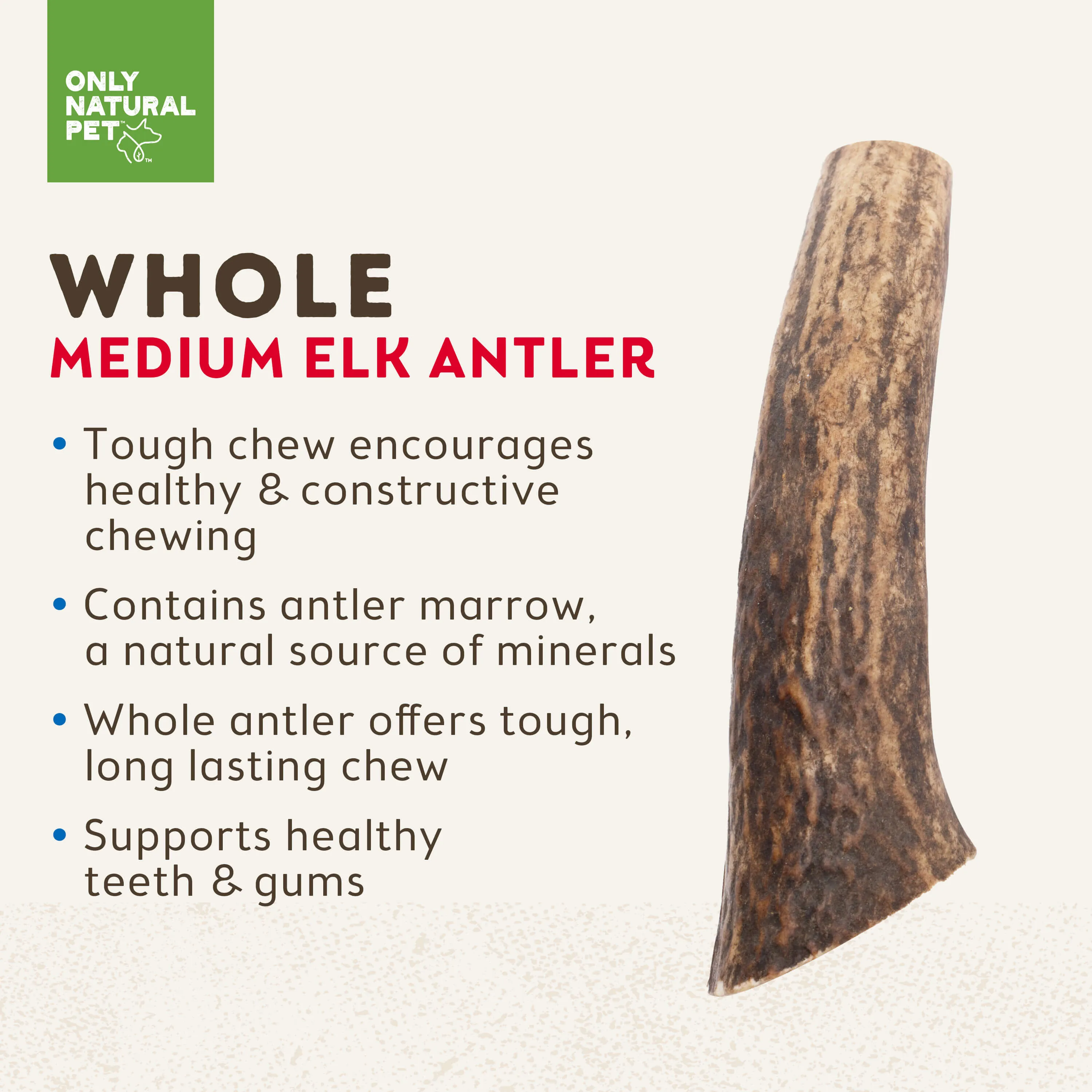 Only Natural Pet Medium Whole Elk Antler for Dogs