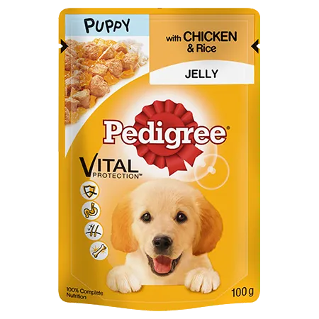 Pedigree Puppy Pouch Chicken Jelly 100g