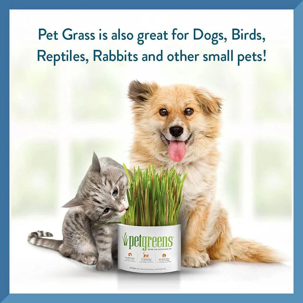 Pet Greens Medley Pet Grass Self-Grow Kit Organic Oat, Rye, & Barley Blend, 3-oz