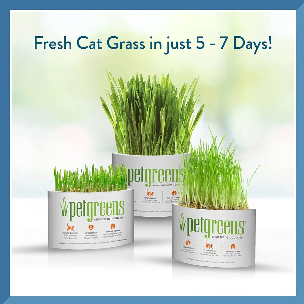 Pet Greens Medley Pet Grass Self-Grow Kit Organic Oat, Rye, & Barley Blend, 3-oz