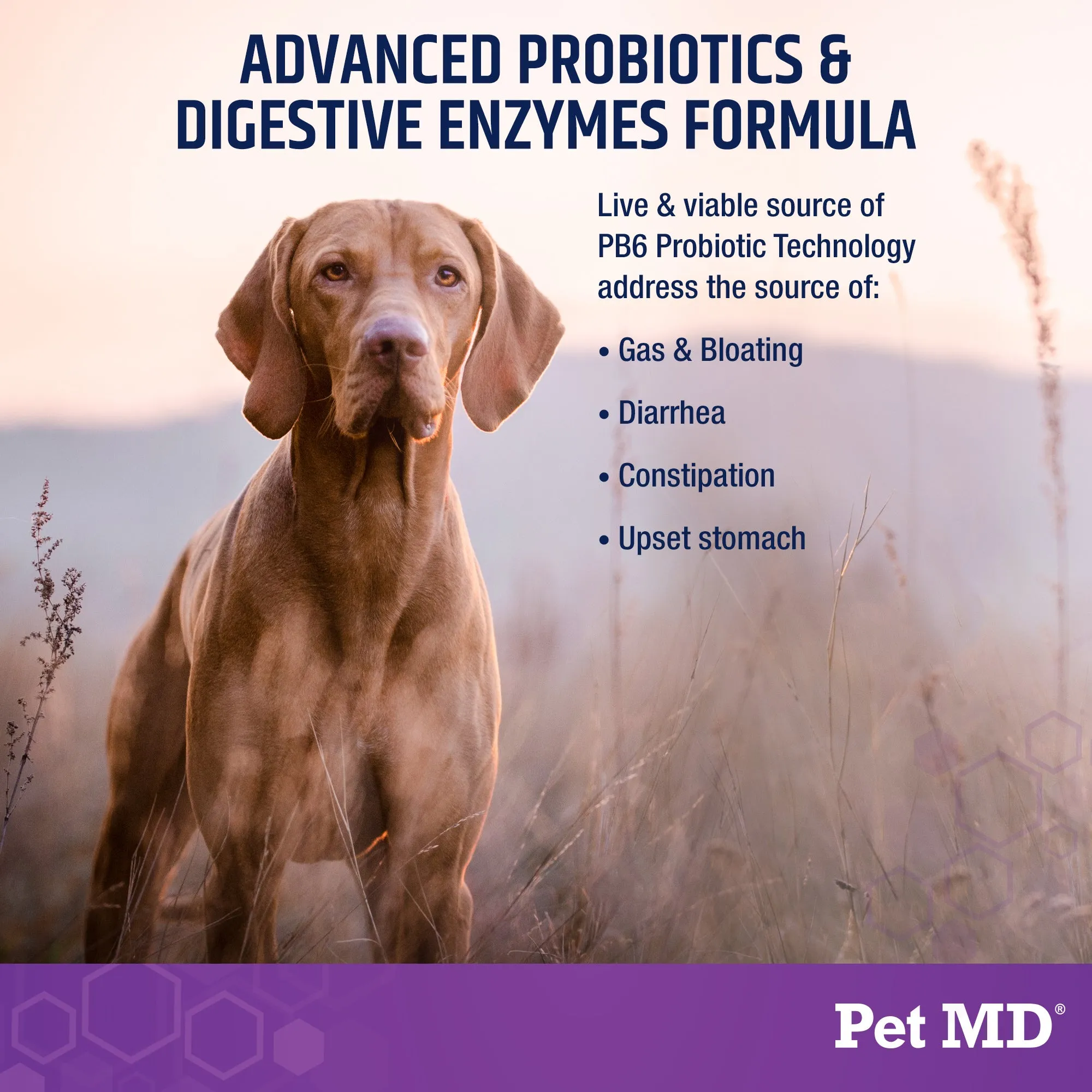 Pet MD Probiotics & Enzymes for Dogs - 60 ct