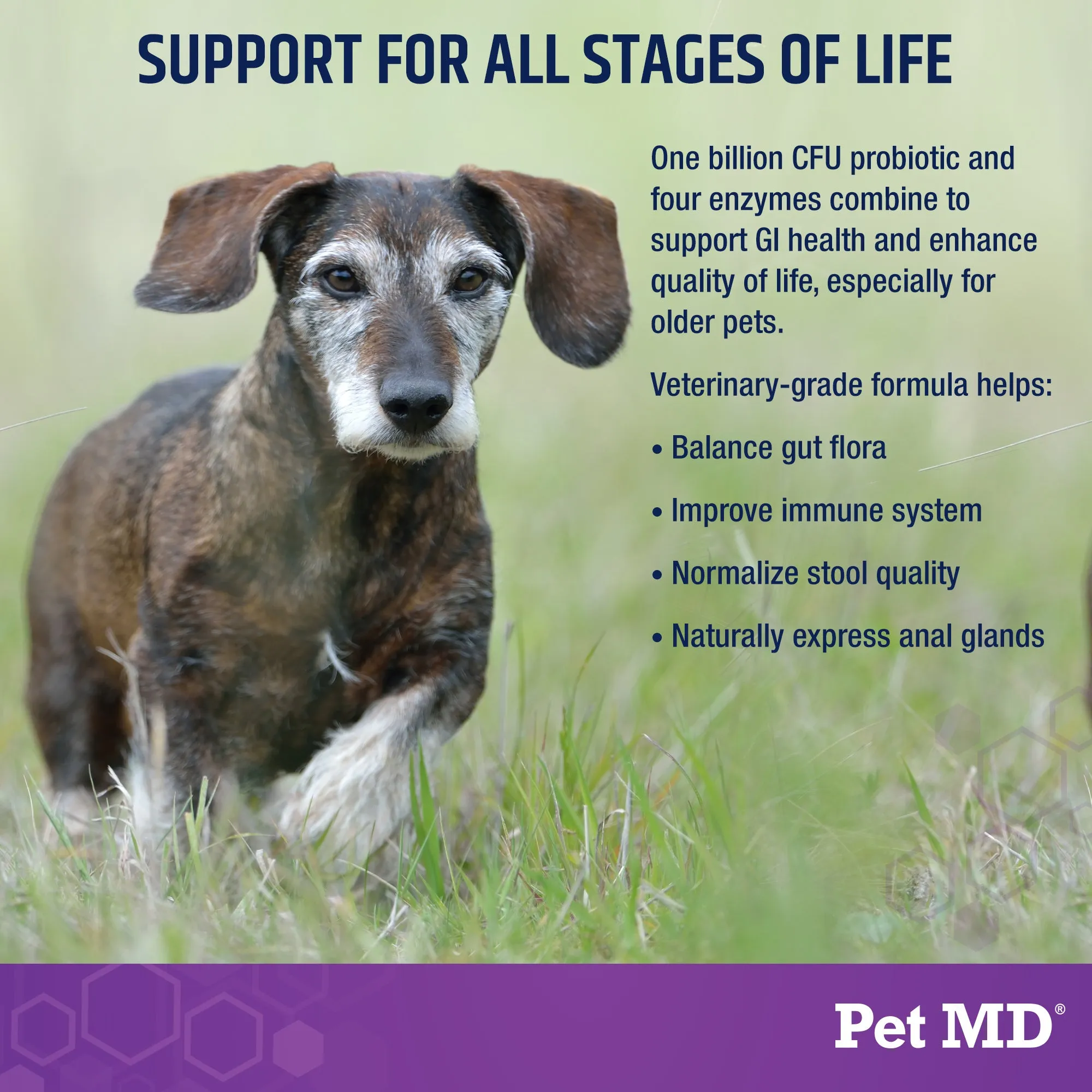 Pet MD Probiotics & Enzymes for Dogs - 60 ct