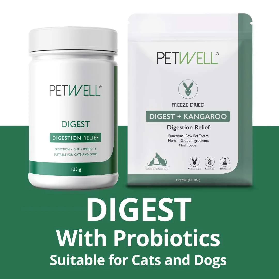 PetWell DIGEST   KANGAROO Functional Treats