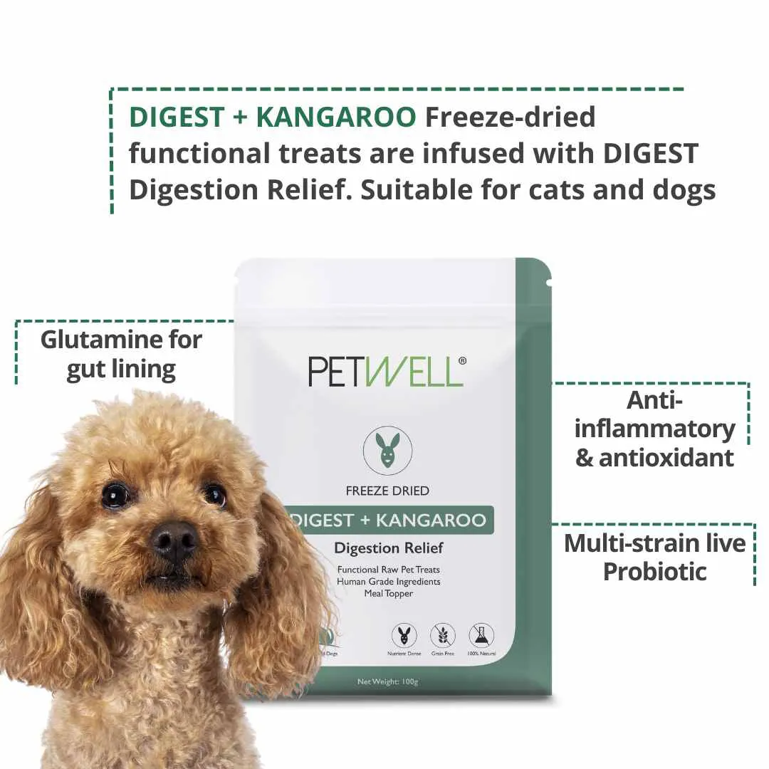 PetWell DIGEST   KANGAROO Functional Treats