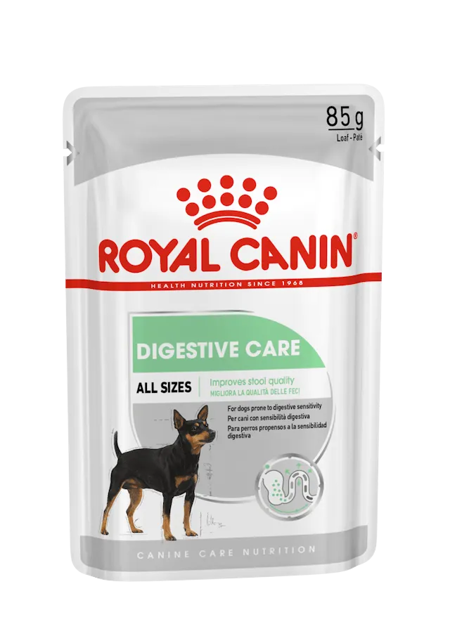 Royal Canin | Canine Care Nutrition | Wet Dog Food Pouch | Digestive Care in Loaf - 85g