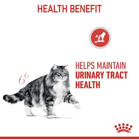 Royal Canin | Cat Wet Food Pouch | Urinary Care in Jelly - 85g