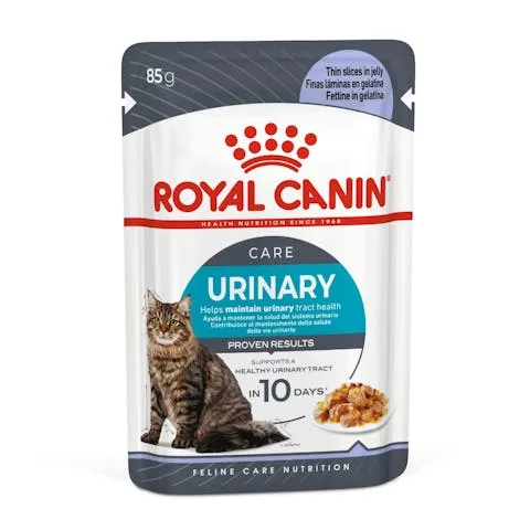 Royal Canin | Cat Wet Food Pouch | Urinary Care in Jelly - 85g