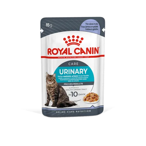 Royal Canin | Cat Wet Food Pouch | Urinary Care in Jelly - 85g