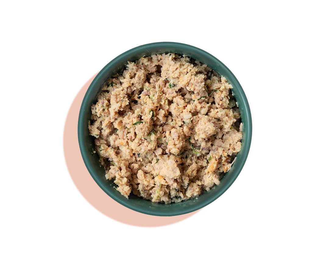 Turkey and Wild Salmon Grain Free Blend