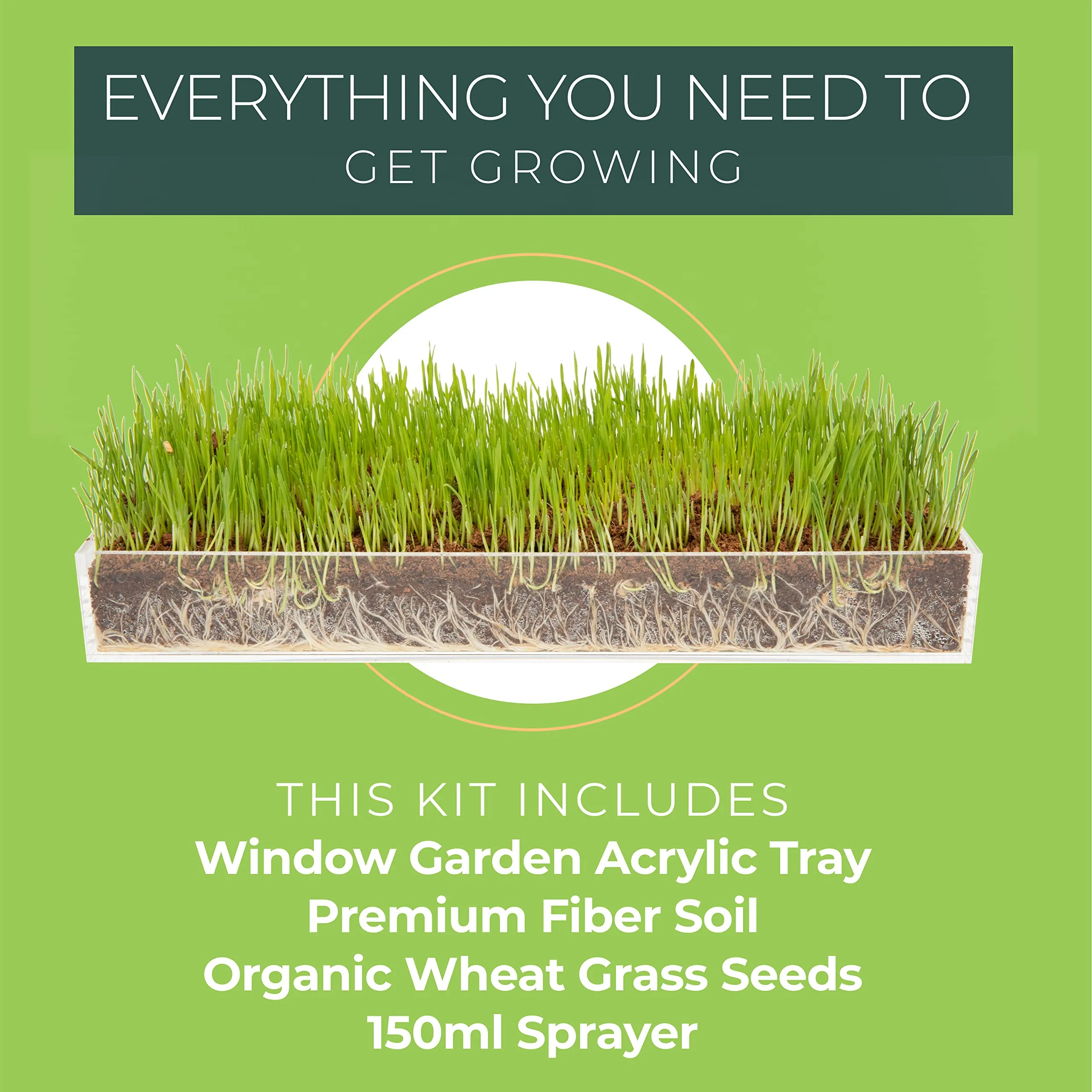 Window Garden Organic Wheatgrass Grow n Serve Kit Plant an Amazing Wheat Grass Home